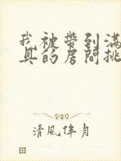 我被带到满是玩具的房间挑调作文