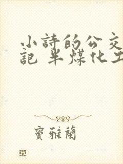 小诗的公交车日记 半煤化工