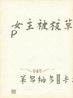 女主被校草们NP