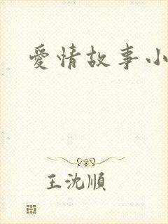 爱情故事小说