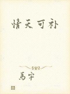 情天可补