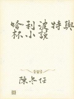 哈利波特与火焰杯小说