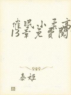 催眠小柔高达第13章免费阅读