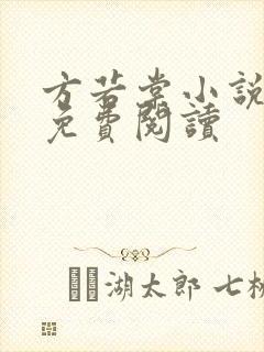 方若棠小说全文免费阅读