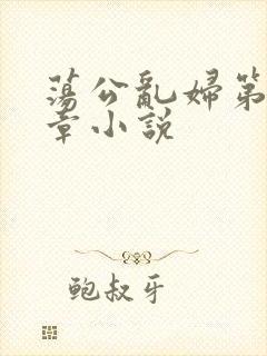 荡公乱妇第51章小说