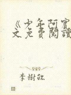 《少年阿宾》全文免费阅读