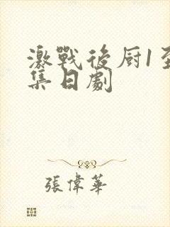 激战后厨1至5集日剧