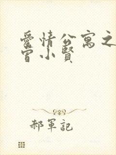 爱情公寓之极品曾小贤