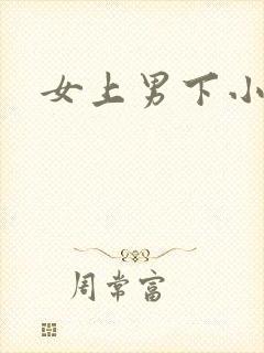 女上男下小说