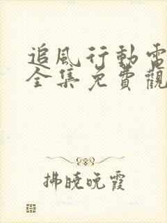 追风行动电视剧全集免费观看