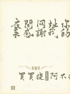 夜间网址你会回来感谢我的