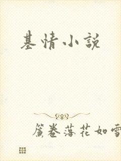 基情小说