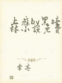 上瘾by黑暗森林小说免费