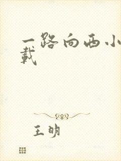 一路向西小说下载