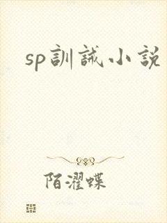 sp训诫小说