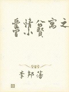 爱情公寓之极品曾小贤