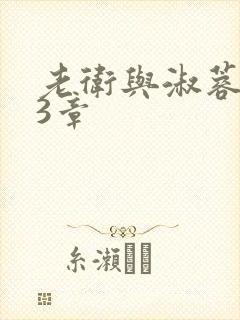 老卫与淑蓉第13章