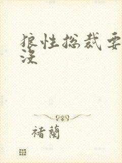 狼性总裁要够了没