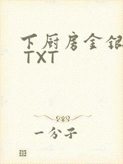 下厨房金银花露 TXT