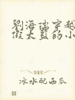 刘海瑞穿越后宫假太监的小说