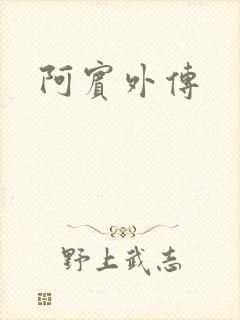阿宾外传