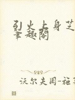 引火上身芝麻糖笔趣阁