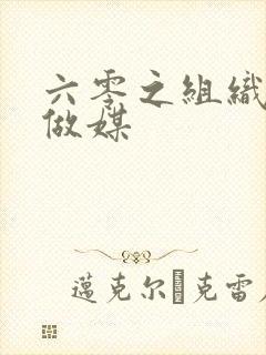 六零之组织给我做媒