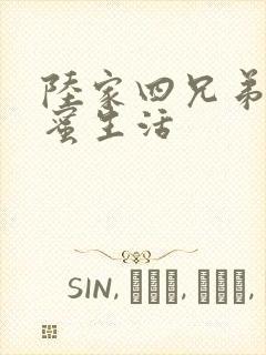 陆家四兄弟的甜蜜生活