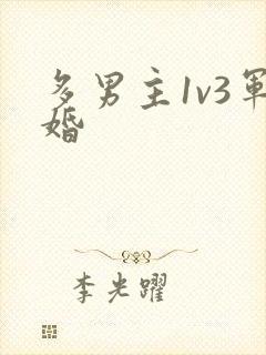 多男主1v3军婚