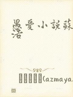 愚爱小说苏倩孙浩