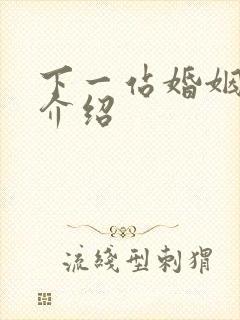 下一站婚姻剧情介绍