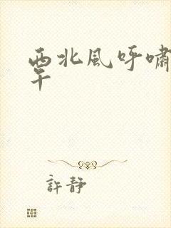 西北风呼啸的中午