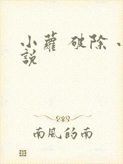小萝 破除 小说