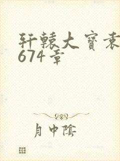 轩辕大宝袁雪妃674章