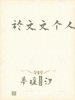 于文文个人简历