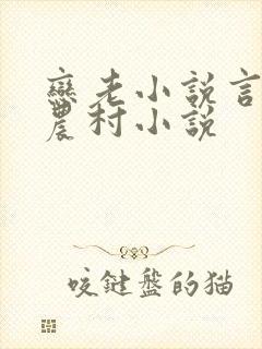 恋老小说言情网农村小说