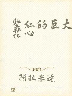 紫红的巨大顶开花心