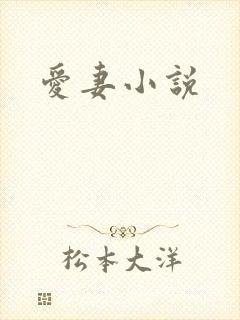 爱妻小说
