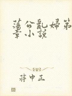 荡公乱妇第51章小说