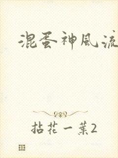 混蛋神风流史补