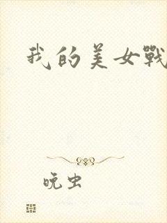 我的美女战队