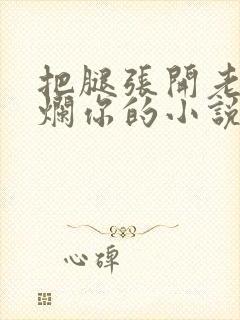 把腿张开老子臊烂你的小说