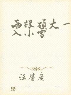 两根硕大一起挤入小雪