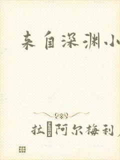 来自深渊小说
