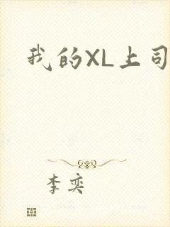 我的XL上司