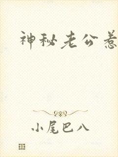 神秘老公惹不起