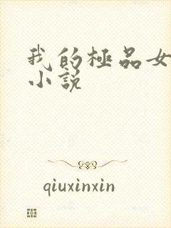 我的极品女老师小说