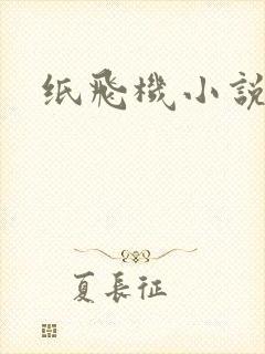 纸飞机小说