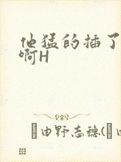 他猛的插了进去啊H