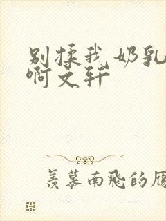 别揉我奶乳嗯～啊文轩